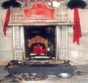 313657_272435482801124_100001040225747_880868_1882623865_n