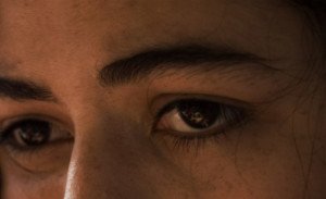 12539202649_d0a48cf165_o