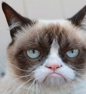 1ImageUploadedByTapatalk1368733589.077639