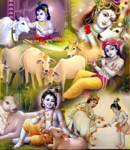 11813331_496731767157117_7254410777489120805_n