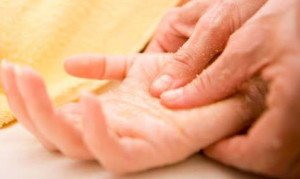 zx11152708_1378411395822218_7720322726834316166_n