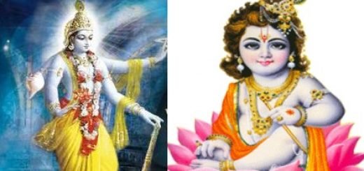 rishi satta worship devotion spirituality real alien ufo universe indian divine saint sadhu sanyasi baba radha krishna braj vraj vrindavan